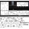 水轉(zhuǎn)印，家具水轉(zhuǎn)印，家具水移畫