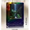 供應(yīng)觀(guān)賞水族箱/屏風(fēng)魚(yú)缸/家居裝飾魚(yú)缸