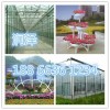 【ZUIHAODE三色堇】三色堇種植基地在哪里？