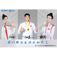 2026年1月實(shí)物印章廠家推薦，資質(zhì)技術(shù)案例三維硬核測(cè)評(píng)